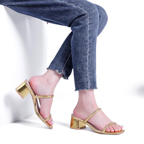Image of Goderci Women's Chunky Block Low Heeled Sandals | 2 Strap, Square Open Toe, Slip On, Mule Heels