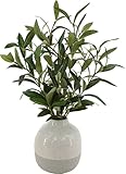 Artificial Olive Tree 14 Inch, Realistic Faux Olive Plant in Two-Tone Ceramic Vase, Artificial Plants Indoor for Home Office Desk Tabletop Decor