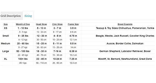 Doggle ILS Racing Flames Frame con lenti