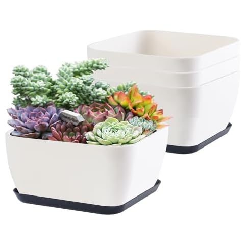 Oliz Succulent Pots 6 Inch Shallow Herb Planters Cover
