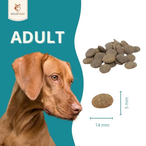 Wildfang® Hundefutter - Trocken - Getreidefreies Hundefutter - Premium Trockenfutter (2 kg, Wild mit Süßkartoffel mit Maulbeere)