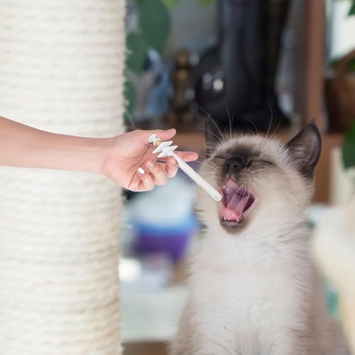 Sikweny 2 Stück Tabletteneingeber Katze Runder Griff Tablettengeber für Katzen Gabeldesign Medikamentenspender für Haustiere Klein und Tragbar für Ernährungscreme Weichkapsel Pillen Medikamente