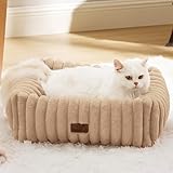 Bedsure Cute Dog Bed for Small Dogs & Cats - Washable Furry Puppy Beds, Rectangle Orthopedic Corduroy Fleece Pet Beds with Removable Zipper Cover, 20x19x6inches, Sandy Beige