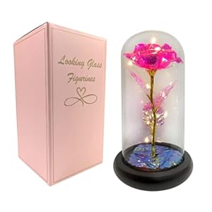 Handmade Preserved Rose in Clear Glass Dome with LED Lighting – A Stunning and Unique Present for Any Occasion Artificial Flowers | Batteries Included (Pink)