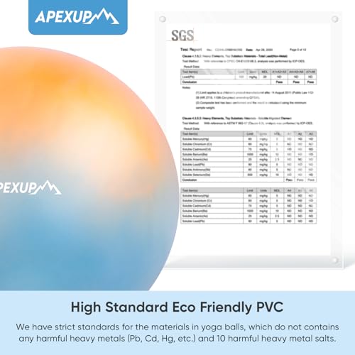 Image of APEXUP Yoga Ball, 660 lbs Anti-Burst Exercise Ball with Pump, 5 Sizes