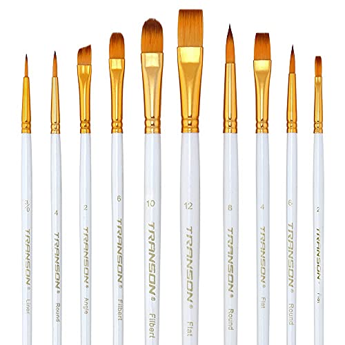 Transon 20Pcs Artist Painting Brush Set For Acrylic Watercolor Gouache Hobby Craft Face Rock Painting White #TOP6