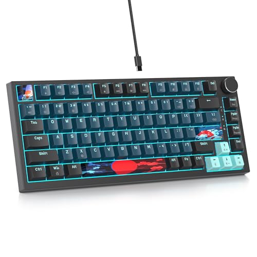 Clavier de jeu mécanique 75% SOLIDEE Monstor avec structure Gasket et boutons