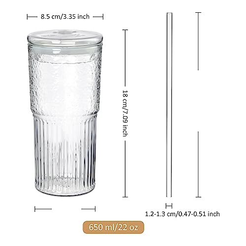 Joeyan 22 oz Glass Tumbler with Straw and Lid for Iced Tea Coffee Smoothie Water Juice Beverages Soda,Clear Borosilicate Glasses Cups,Ribbed Drinking Jar,Set of 2,Dishwasher Safe