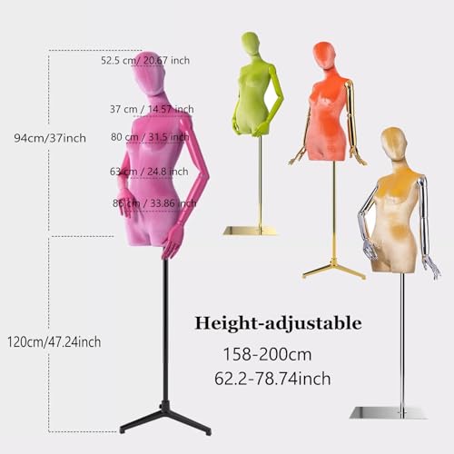 Mannequin Bionic avec articulations rotatives, design en bois amovible pour draper la robe - Idéal pour une utilisation en studio