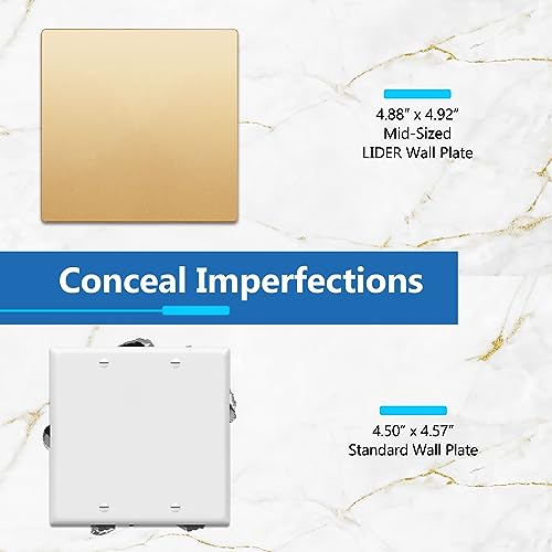 Placa de pared en blanco oro mate LIDER embellecedor de lujo de 2 bandas para salón 3