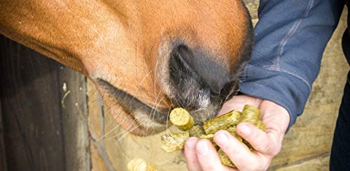 Silvermoor Treatsies - Turmeric - 1kg - Image 5