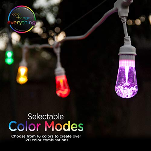 Enbrighten Vintage Seasons Café Lights, Outdoor String Lights, White, 48Ft, 24 Lifetime Bulbs, Color Changing, Weatherproof, Shatterproof, Commercial Grade, 39092 #TOP1
