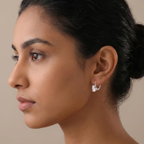 Image of TRUESILVER ACPL 925 Sterling Silver Cubic Zirconia Earrings for Women & Girls | BIS Hallmarked Drop Dangle Leverback Style | Elegant Jewelry Gift for Women