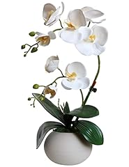 A1:white Orchid With Vase
