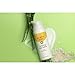 Burt's Bees Calming Day Lotion with Aloe and Rice Milk for Sensitive Skin, 98.8% Natural Origin, 1.8 Fluid Ounces