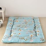 double futon bed frame 【Decompression】This breathable and skin-friendly mattress fits the body better, relieves body pressure, protects the spine, protects the neck and waist from pressure, and allows you to get high-quality sleep