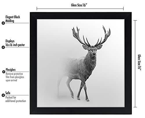 Americanflat 16x16 Picture Frame with Polished Plexiglass - Epic Collection - Square Picture Frame with Engineered Wood - Wide Photo Frames for Wall display - Black