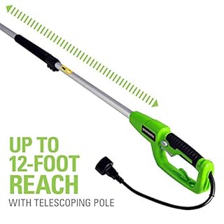 Greenworks 7 Amp (2-In-1) 10-inch Corded Electric Polesaw, PSCS06B01