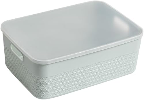Organizador de almacenamiento con tapa Contenedor organizador de almacenamiento, 9 litros, juego de 4, menta