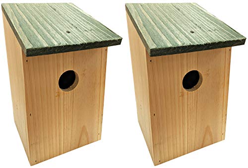 2 x Bird Nesting Boxes – Wooden Nest Houses with Hinged Roof – Birdhouses for UK Gardens & Wild Birds – Tree & Wall Mountable Nest Box