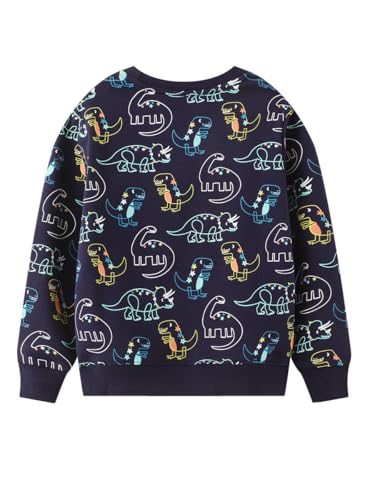 Boys Sweatshirts Casual Sweatshirts Cotton Sweatshirts Long Sleeve T-shirts Crew Neck Cartoon Tops for Boys-222