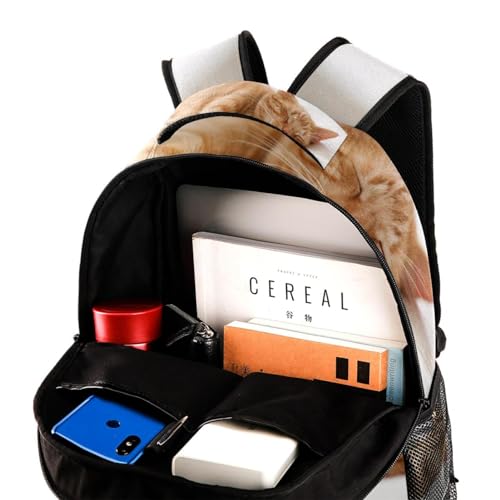 Sac à dos d'école pour filles et adolescents grand format chat multicolore - 4