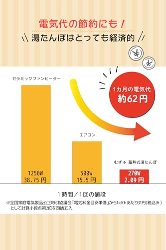 UQLIFE 蓄熱式湯たんぽ( パンダ ) の商品画像 2