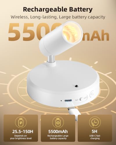 Image of EZVALO Battery-Powered LED Spotlight Indoor, Wireless Picture Lights with Remote, 5500mAh Rechargeable Mini Display Light, Uplighting Indoor for Artwork, Tree, Painting, Portrait (1-Pack White)