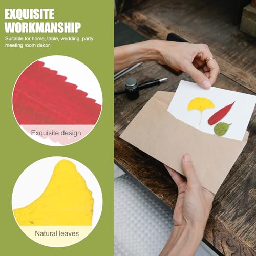 Hohopeti 1 Material De Gravação De Flores Secas Adesivo De Flores Secas Folhas Secas Naturais Outono