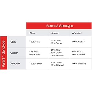 Dog Multidrug Resistance 1 (MDR1) DNA Test Kit | Home Sample Collection Kit for 1 Canine | Puppy MDR1 Testing Kits | Results in 7 working days | A Complete Kit with No Extra Fees