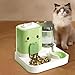 2 in 1 Automatic Pet Feeder Removable Portable Convenient Drinking Cats Feeder Pet Feeding Bowl for Small Animals Puppy (Green)