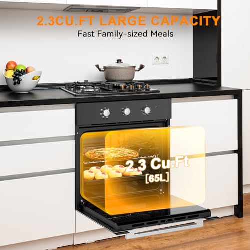 GASLAND 24 Inch Single Wall Oven, 24'' Built-in Electric Ovens, 240V 3240W 2.3Cu.ft 5 Cooking Functions of Grill Conventional Timer, CSA Approved, Black Glass