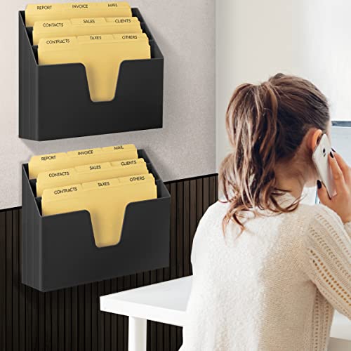 Acrimet Horizontal Triple File Folder Holder Organizer (Manila Folders Letter Size Included) (Black Color) #TOP3