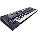 Roland VR-09-B 'V-Combo' | Travel-Ready 61-Note Keyboard with All the Sounds You Need (VR-09-B)