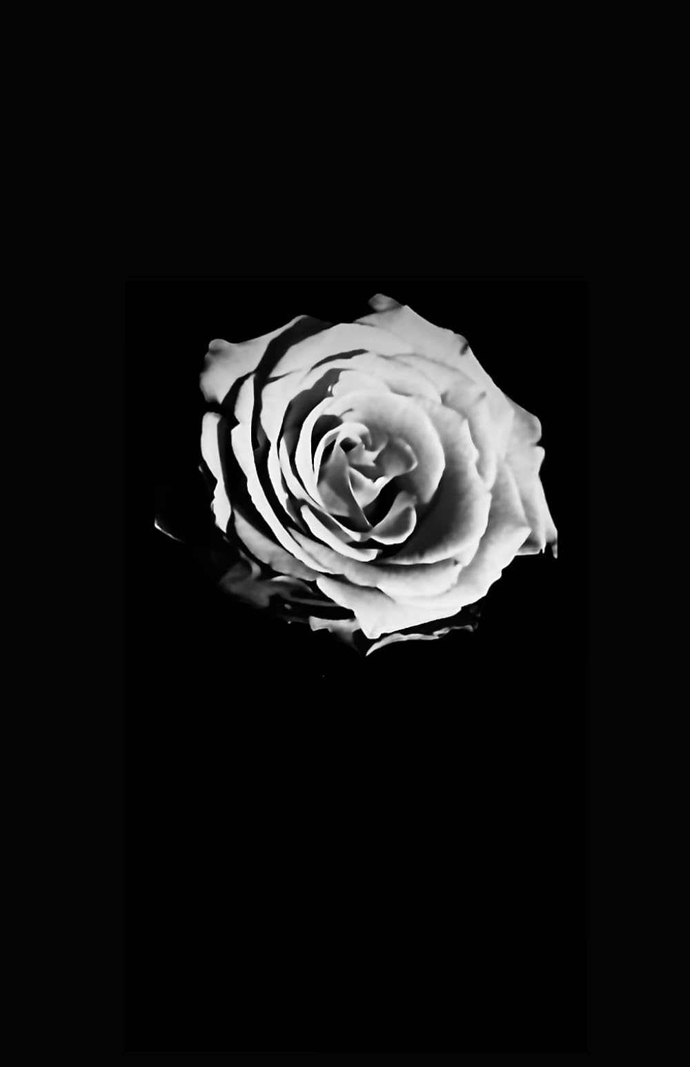 Lost In The Lockers (The Lost and Looking series)