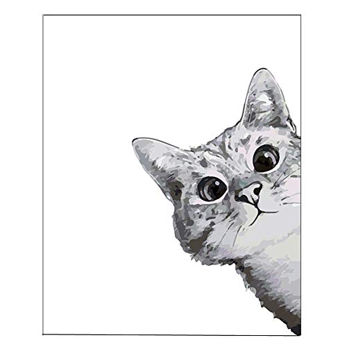 jingxiaopu Pinselset Malen Nach Zahlen Malen Nach Zahlen Katze SchöN Malen Nach Zahlen Ab 7 Jahre MäDchen Ohne Rahmen FüR Erwachsene Dekorationen Geschenke A,40X50 No Frame Cover
