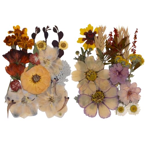 Flores Secas Prensadas Naturales para Manualidades 40 Piezas miniatura 1