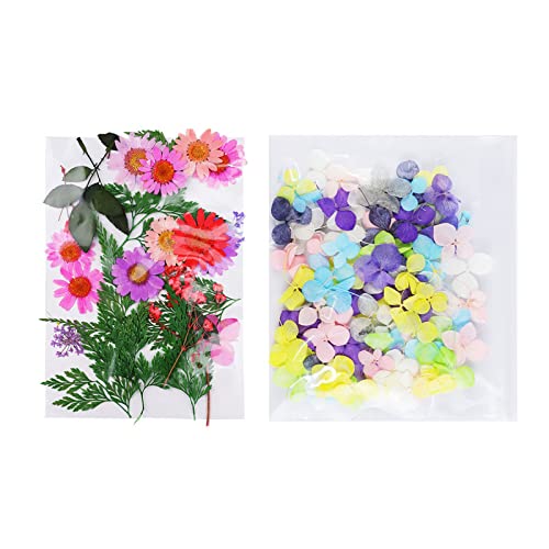 Hiebum Real Getrocknete gepresste Blumen 98 Cover