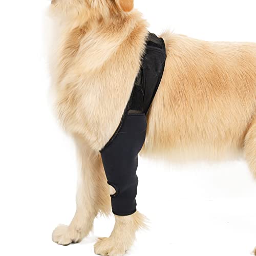 Image of Dog Recovery Sleeve Front Rear Leg Support Brace for Injury Sprain Relieve Pain