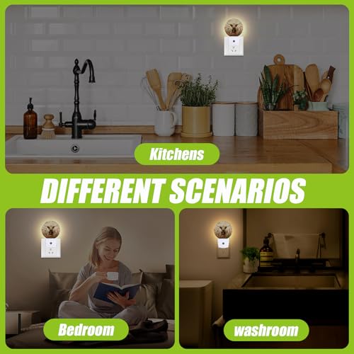 Image of Highland Cow Night Light,Flowers Night Lights Plug into Wall for Kitchens Toilets Bedroom Decorative Half Round Nightlight Led Lamp 0.5W Sleep Friendly