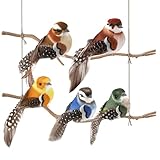 Photo Gallery gifaneo 5pcs ucc elli fin ti,ucc elli fi nti decorativi,uccelli artificiali in schiuma,ucc elli fi nti decorativi piccoli,per decorazione giardino natale fai da te festa Photo Gallery gifaneo 5pcs ucc elli fin ti,ucc elli fi nti decorativi,uccelli artificiali in schiuma,ucc elli fi nti decorativi piccoli,per decorazione giardino natale fai da te festa