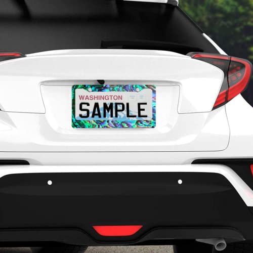 Personalized License Plate Frame Stainless Steel Faux Abalone License Plate Cover Accessory Decorative 2 Holes And Screws Fits Us Standard License Plates Size: 12.2 X 6.3 Inches For Men Women #TOP4