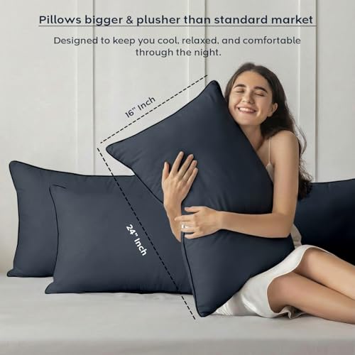 Image of AYKA Premium Microfiber Pillow for Sleeping | Super Soft & Fluffy Bed Pillow | 100% Virgin Microfiber Filling | Hypoallergenic, Breathable | Ideal for All Sleeping Positions 16x24 | Grey | Set of 2