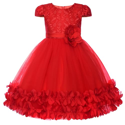 Uhnice Toddler Flower Baby Girls Dress Embroidered Tulle Tutu Formal Wedding Dress Birthday Party Pageant