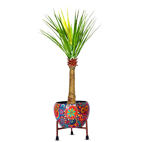 Image of Kayra Decor 3 Feet Cactus Plant -Big Plants for Living Room Artificial with Pot (Black)