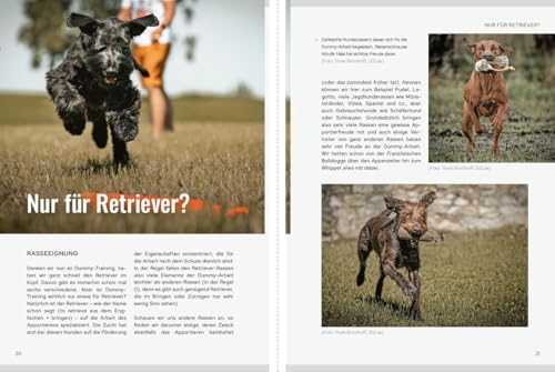 Dummy-Training - mehr als Apportieren: Team werden - Herausforderungen meistern - Leichtigkeit finden