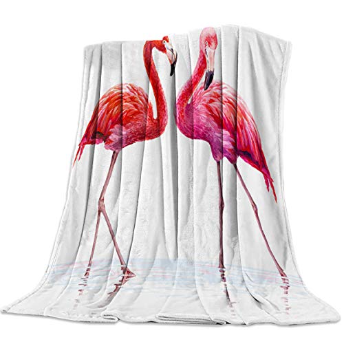 Home Decor Fleece Flanel Throw Blanket Red, Warm Soft Lightweight Blanket for Bed Couch All Season Accent Throw Machine Washable