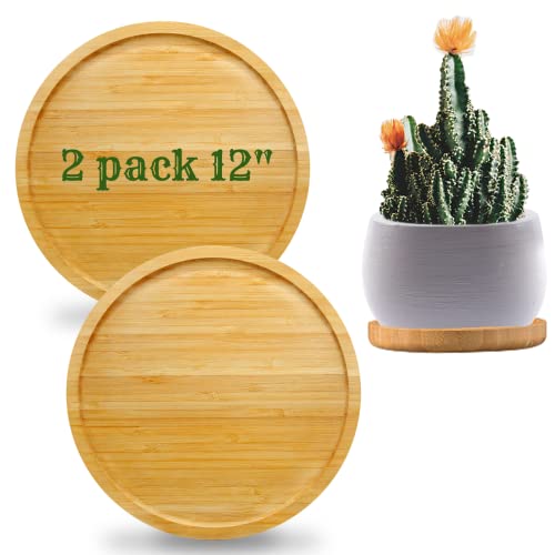 Fenspeed 2Pcs Bamboo Plant Saucer Drip Trays Plant Flower Pot Round Plant Trays For Indoors Plant Plate Planter Pallet Succulent Cactus (12Inch/30Cm) #TOP2