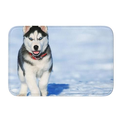 玄関マット シベリアン ハスキー バスマット 室内 屋外 足拭きマット カーペット おしゃれ 北欧 滑り止め付き 洗える ベットルーム 浴室 台所 寝室 業務用 家庭用 40×60cm