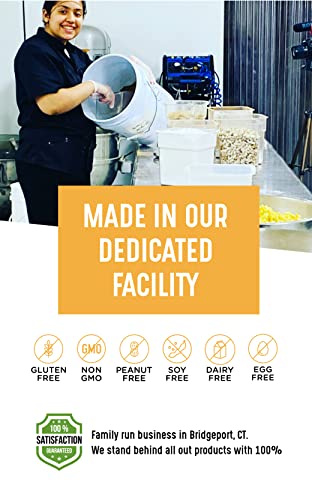 Amrita Mango Coconut Vegan, Gluten Free High Protein Bars | 15G Plant Based Protein, High Fiber, Peanut & Dairy Free | Breakfast Bar, Meal Replacement, Healthy Snack | 2.12 Oz Bars, Pack Of 12 #TOP3